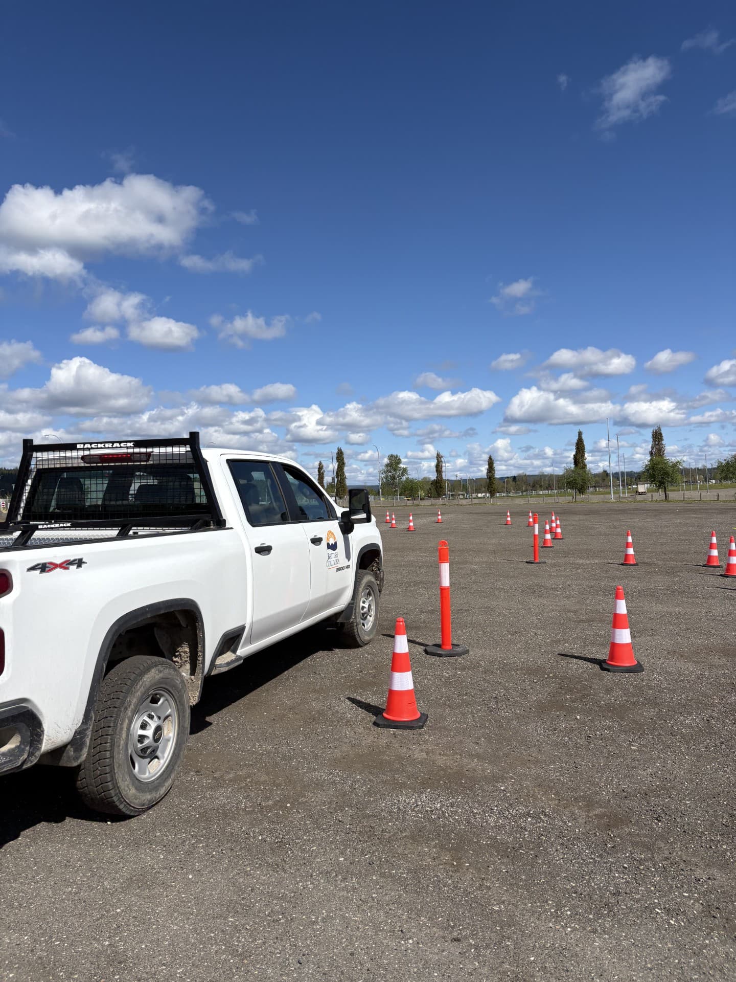 Professional fleet driver training